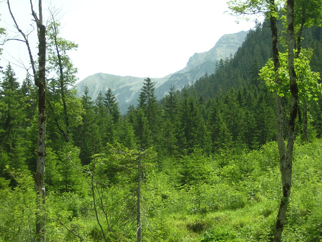 11Kreuzspitze