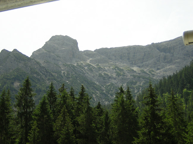 13OestlGeierkopf