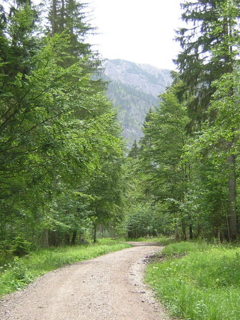 15beiLinderhof