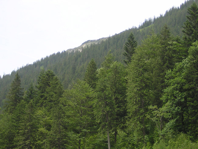 17KuchelbergspitzeVonHinten