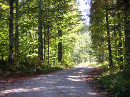 04beim-Steinernen-Kreuz