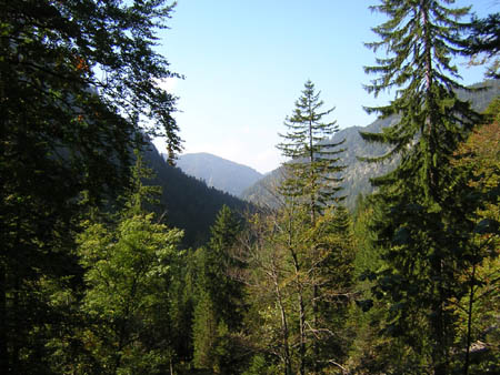 08Blick-zurueck