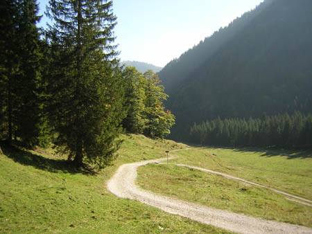 10Weg-zur-BayrAlm