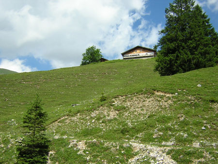 03Plumsalm