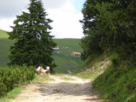 06Plumsjochhuette