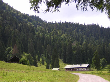 03SchwarztennAlm