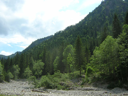 05Soellbach