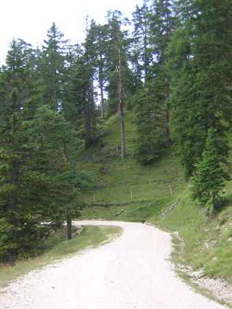 01Weg-zur-Koeglalm