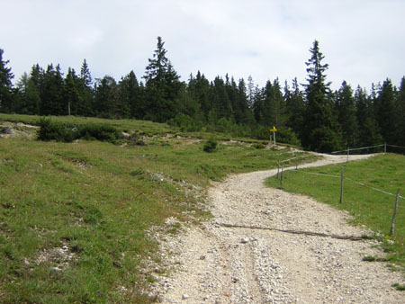 06Koegljoch