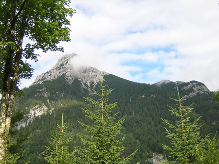 12Guffert