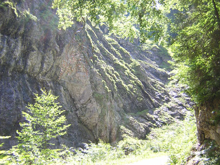 05ImElendgraben