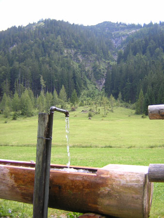 08Elendalm