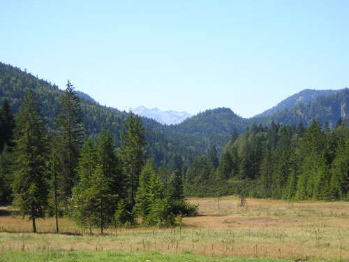 05Blick-zur-Soierngruppe