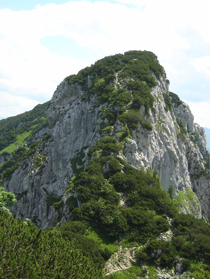 Achselkopf3