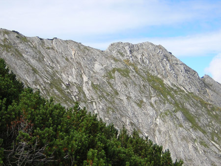 12der-Weg