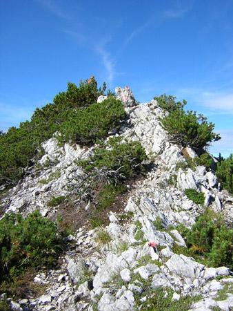 22Rueckweg