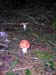 01Pilz