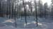 02Wald