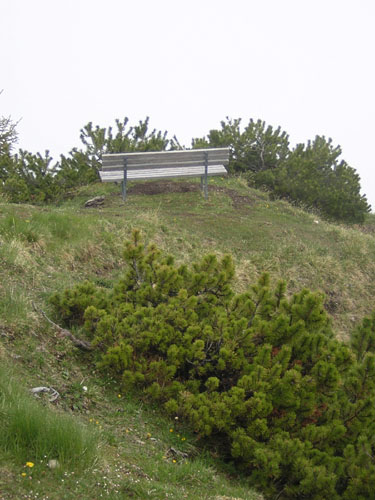 07Vorderer-Bruenstelkopf
