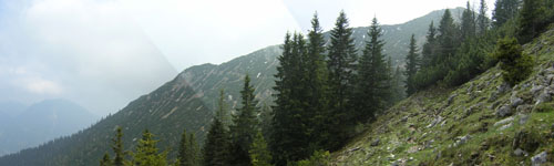 13Panorama