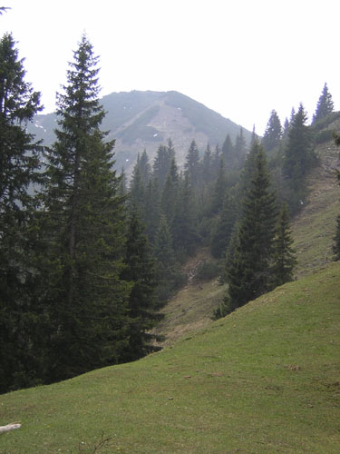 15ein-Blick-zurueck