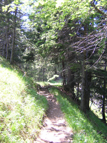 06zum-Puerschling
