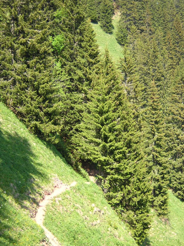 11und-nach-vorne