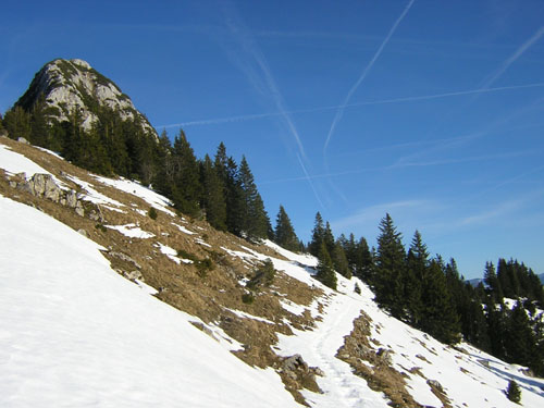 13Rossstein