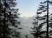 20im-Wald