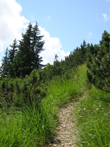 04Zum-Duerrenbergjoch