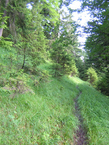 09Weg-nach-Fall