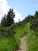 04Zum-Duerrenbergjoch