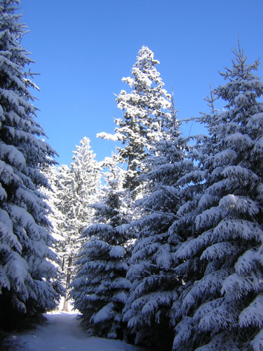 02Hoehenweg