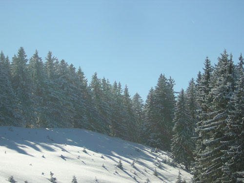 07Angerlkopf