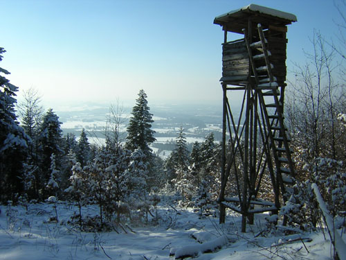 10am-Forstweg