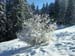 09im-Neuschnee