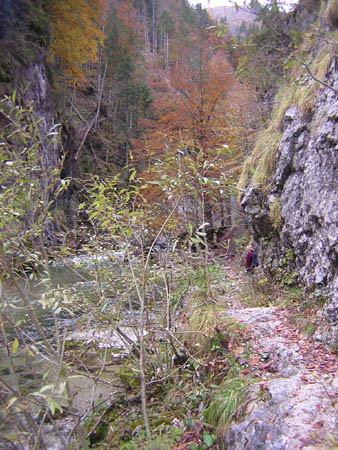10Weg-zur-Valepp