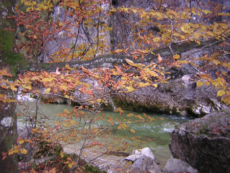 11in-der-Klamm