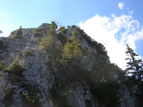16Blick_zuruck