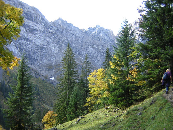 03Maerchenwald