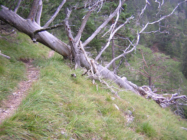 04Durchschlupf