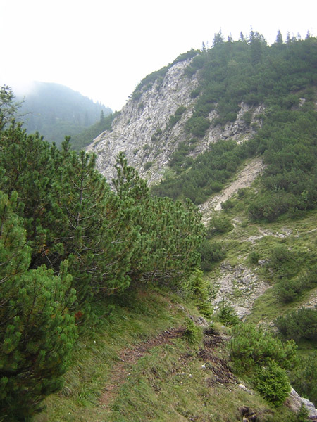 06Bachquerung