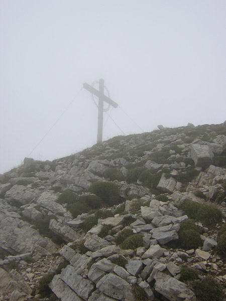 16Geierkopf