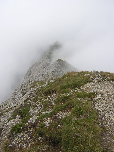 21Geierkopf