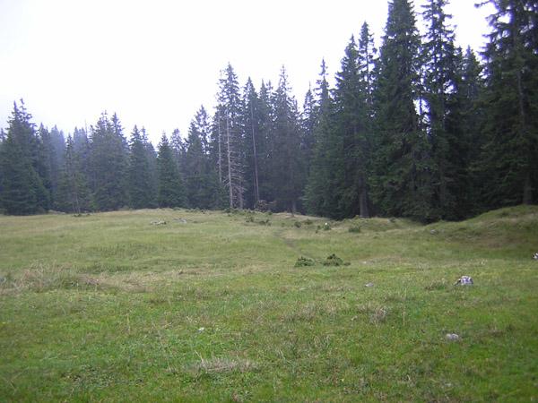 22Zwerchenberg