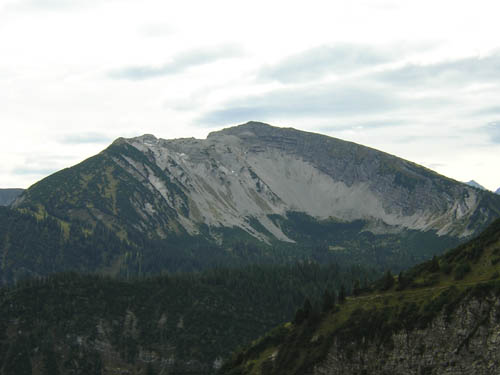 04Schafreuter
