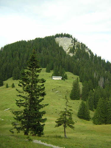 16Blick-zurueck-zum-Wiesbauern