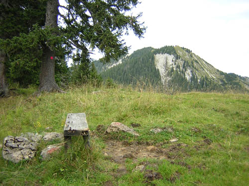 16Blick-zurueck-zumGraskoepfel