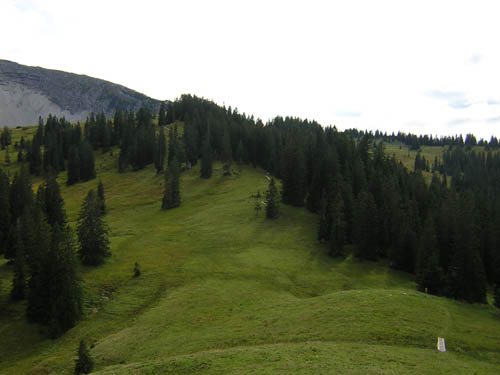 17Weg-zur-Moosen-Alm