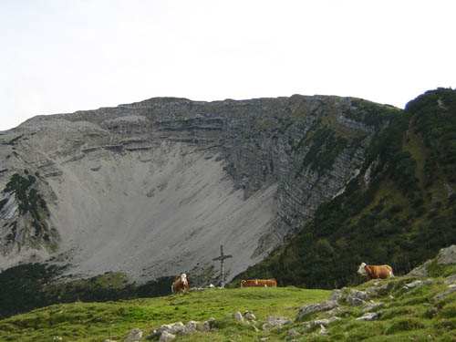 18Schafreuter